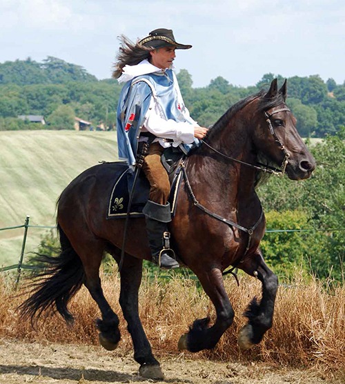 Cavalier Route Européenne d'Artagnan