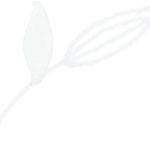 Grey_green_single_1 filigrane