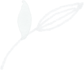 Grey_green_single_1 filigrane