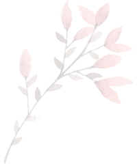 Pink_bunch Pink bunch