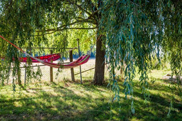 Ferme de Balme - Hamacs