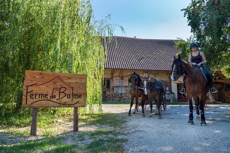 Ferme de Balme - Cavalier et attelage